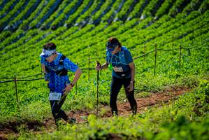 BIB: 
                            <button type="button" onclick="openModal(19161991)" class="btn btn-primary btn-sm float-right btn-popup" data-toggle="modal" data-target=".modal-high-quality">
                        <i class="fas fa-shopping-cart"></i> Add to Cart
                    </button>
                                            <button type="button" onclick="isThisMe(19161991, true)" class="btn btn-success btn-sm float-right btn-popup btn-isme hidden" data-toggle="tooltip" data-placement="bottom" title="นี่คือรูปของคุณใช่ไหม คลิกที่นี่เพื่อเอาเข้าอัลบั้ม">
                        <i class="fas fa-plus"></i> Add to album
                    </button>
                    <button type="button" onclick="isThisMe(19161991, false)" class="btn btn-warning btn-sm float-right btn-popup btn-isnotme hidden">
                        <i class="fas fa-ban"></i> Remove from album
                    </button>